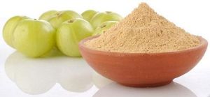 gooseberry powder