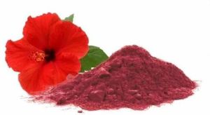 hibiscus flower powder