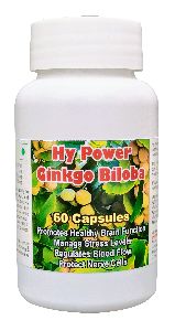 Hy Power Ginkgo Biloba Capsule - 60 Capsules