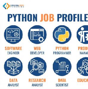 Python Training service