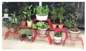 Grandis plant stand