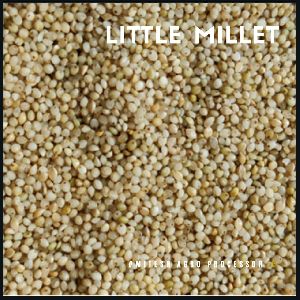 Little Millet sama