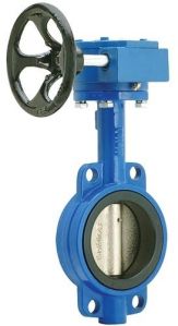 Extended Stem Butterfly Valve