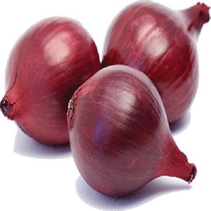 Fresh Nashik Onion