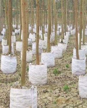UV Treated Non Woven Fabric