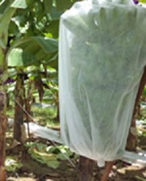 UV Treated Non Woven Fabric