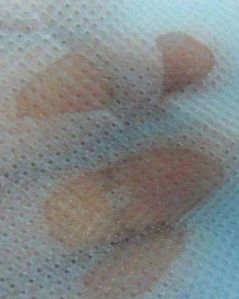 Hydrophobic and Hydrophobic Non Woven Fabric