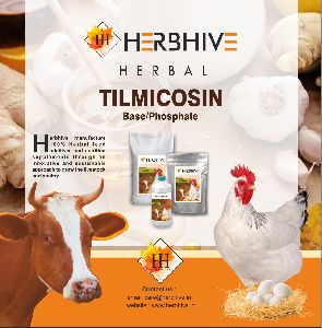 Herbal Tilmicosin Base/Phosphate