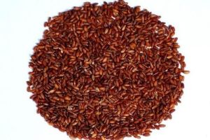 Red rice