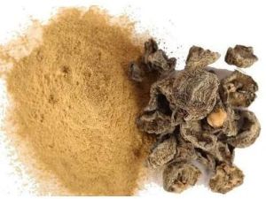 Dried Amla Powder