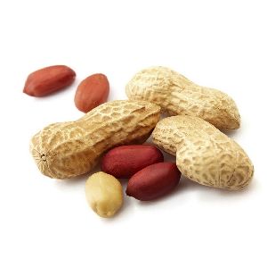 Groundnuts