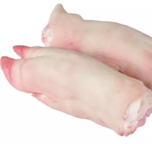 Frozen Pork Meat