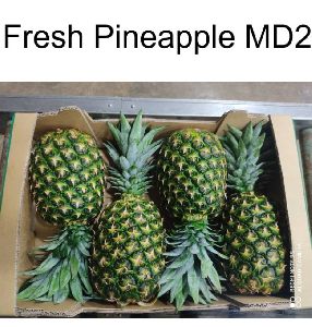 Fresh Pineapple