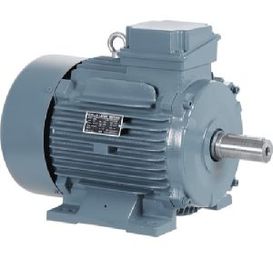 Electric Motor