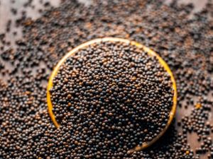 Mustard Seeds