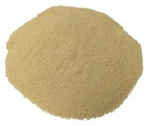 Amino Acid Powder 60%