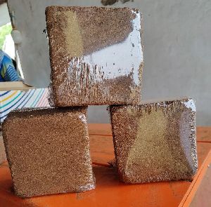 Cocopeat Blocks