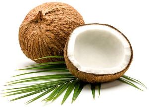 Coconut