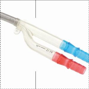 ECMO Cannula