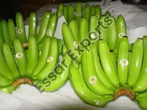 Indian Banana
