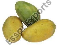 Mangoes