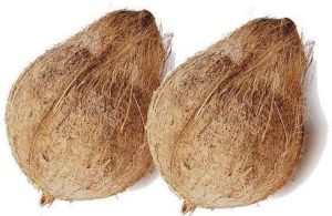 Coconut