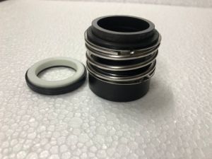 Mechanical Seals