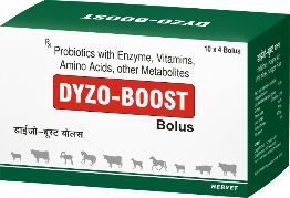 Dyzo-Boost Bolus