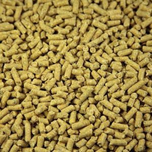 cattle feed pellet