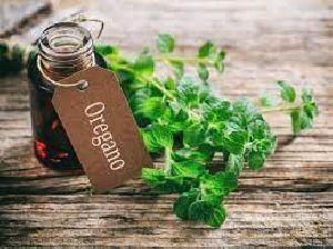 oregano oil