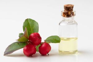 Wintergreen Oil