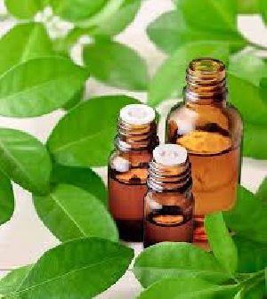 Neroli Oil