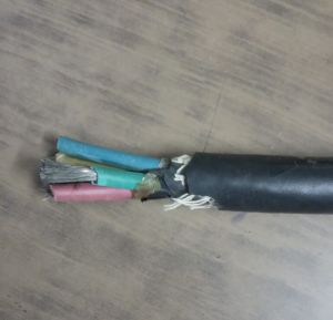 flexible trailing cable