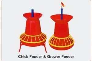 Chick Feeder and Grower Feeder