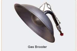 Gas Brooder