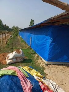 Poultry Curtain