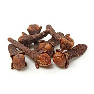 Clove Seeds