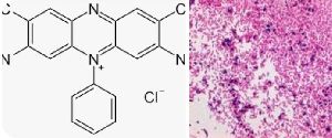 Methyl Diethyl Safranine