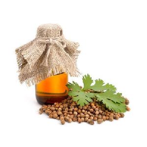 Coriander oleoresin