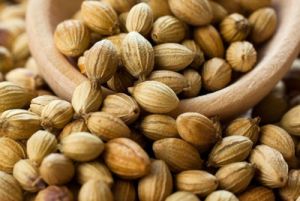 Coriander Seeds