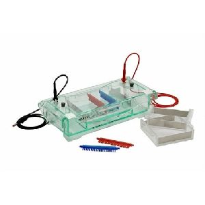 Horizontal Gel Electrophoresis