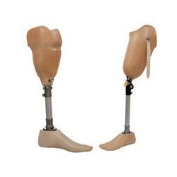 knee disarticulation prosthesis