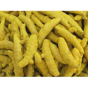 Turmeric Finger