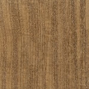 Afrormosia Plywood