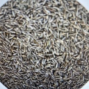 Cumin Seed