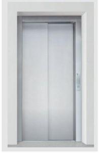 Auto Door Passenger Lift