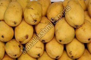 Fresh Benishan Mango