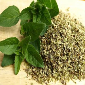Oregano Herb