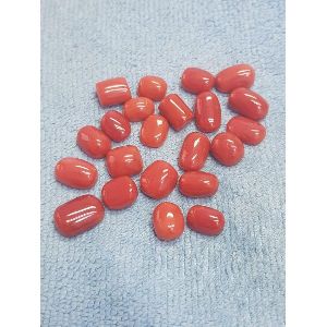 Cabochon Red Coral Gemstone