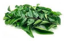 Fresh Curry Leaves